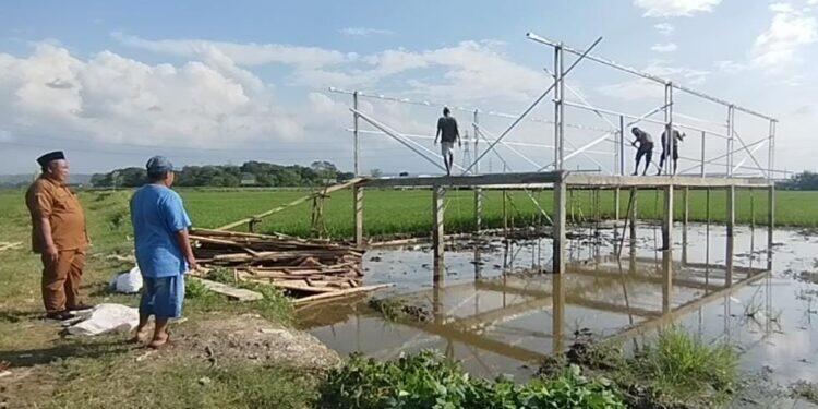 Mundu Mesigit Bangun Peternakan Ayam Petelur