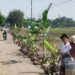 Tagih Janji, Warga Luwungkencana Kembali Tanam Pohon Pisang dan Kuburan di Jalan Rusak