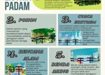 PLN UP3 Cirebon Edukasi Pelanggan Penyebab Umum Listrik Padam