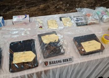 Ahli Digital Forensik Polri Temukan Email Arya Daru Ingin Bunuh Diri Sejak 2013