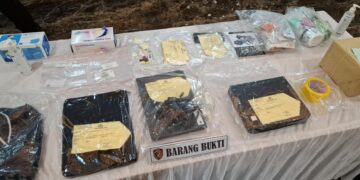 Ahli Digital Forensik Polri Temukan Email Arya Daru Ingin Bunuh Diri Sejak 2013