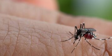 Hingga Juni, 21 Warga Desa Sarabau Terkena DBD