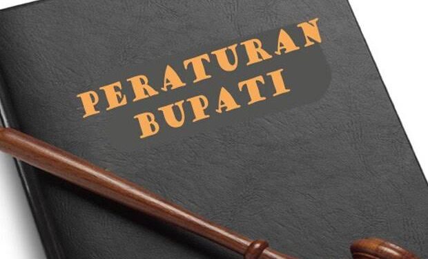 Perbup Sistem Rujukan Pelayanan Kesehatan untuk Masyarakat Tengah Diselesaikan, Ini Keuntungannya