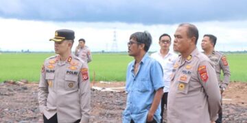 Ketahanan Pangan