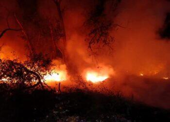 Gudang Terbakar di Desa Panjalin Lor, Polisi Selidiki Penyebabnya 