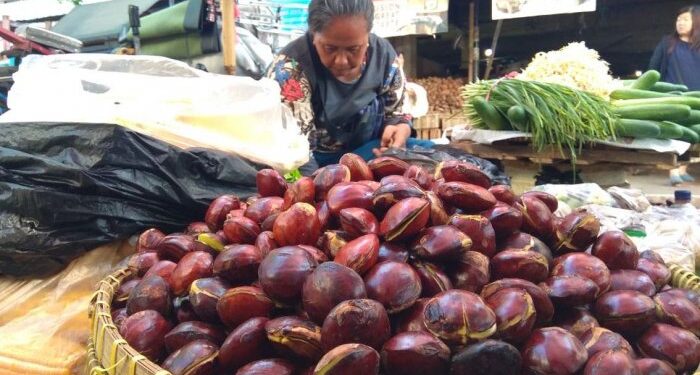 Sempat Hilang Di Pasaran, Kini Harga Jengkol Di Pasar Tradisional Majalengka Melejit Tembus Rp 100.000 Per Kilogram