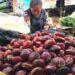 Sempat Hilang Di Pasaran, Kini Harga Jengkol Di Pasar Tradisional Majalengka Melejit Tembus Rp 100.000 Per Kilogram