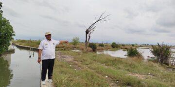 Gegara Banjir Rob, Ratusan Hektare Lahan Pertanian di Melaksari Terancam