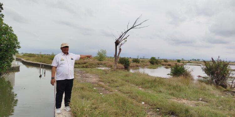 Gegara Banjir Rob, Ratusan Hektare Lahan Pertanian di Melaksari Terancam