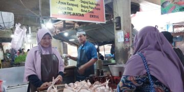 Harga Daging Ayam