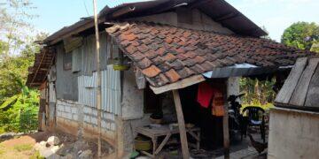 Kandang Ayam