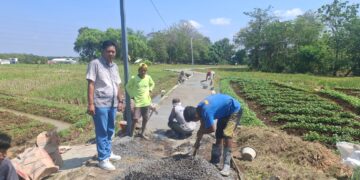 Pemdes Cirebon Girang Realisasikan Dana BKK/BPK 2025 untuk Pembangunan Jalan Usaha Tani 
