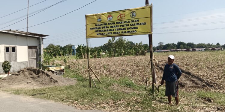 Habis Masa HGB, Pemdes Kalimaro Minta PG Rajawali Berhenti Kuasai Lahan
