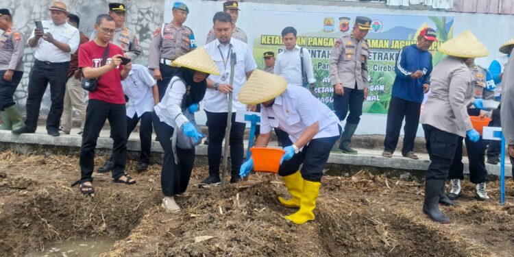 Pemkab Cirebon dan Polresta Cirebon Tanam Jagung Pipil dan Tebar Bibit Lele