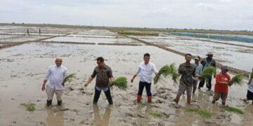 BUMDes Bayalangu Kidul Lakukan Inovasi dengan MT3 Hingga 80 Ha