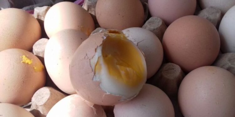 Telur Busuk dan Berlendir