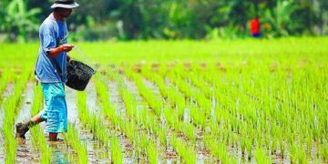 Petani Desa Sende