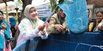 Budidaya Ikan Lele, Ubah Lahan Rumah Menjadi Sumber Protein untuk Pencegahan Stunting
