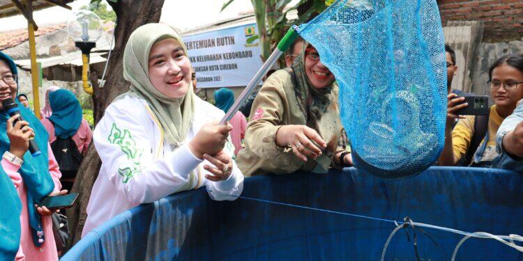 Budidaya Ikan Lele, Ubah Lahan Rumah Menjadi Sumber Protein untuk Pencegahan Stunting