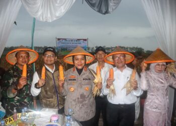 Polresta Cirebon Panen Jagung di Desa Beringin