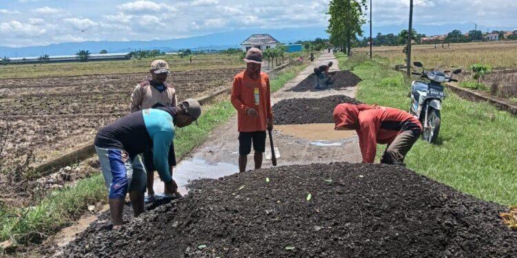 Desa Sumber Kidul Alokasikan Banprov untuk Perbaikan Infrastruktur Akses Pertanian