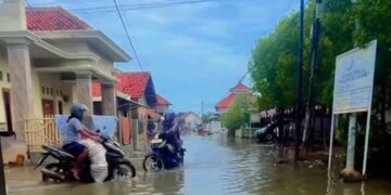 Banjir Rob Rendam Ratusan Rumah di Desa Ambulu