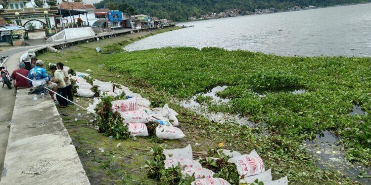 Warga Jagara Turun Tangan Bersihkan Eceng Gondok di Waduk Darma, Angkut Hingga Delapan Ton