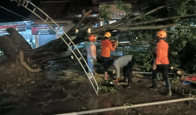 Polsek Kapetakan, BPBD dan PLN Bersama Warga Tangani Pohon Tumbang yang Timpa Kabel Listrik