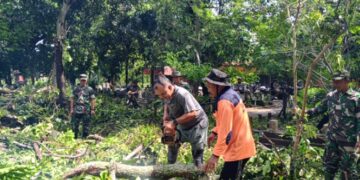 Kodim 0620/Kabupaten Cirebon Gelar Karya Bakti Evakuasi Pohon Tumbang di Situs Sumur Kramat Jalatunda