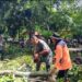 Kodim 0620/Kabupaten Cirebon Gelar Karya Bakti Evakuasi Pohon Tumbang di Situs Sumur Kramat Jalatunda