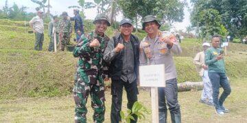 Penanaman Pohon