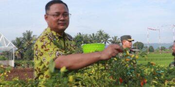 Produksi Hortikultura Meningkat Jadi Tameng Kuningan Hadapi Gejolak Harga Pangan