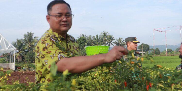 Produksi Hortikultura Meningkat Jadi Tameng Kuningan Hadapi Gejolak Harga Pangan