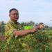 Produksi Hortikultura Meningkat Jadi Tameng Kuningan Hadapi Gejolak Harga Pangan