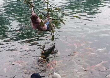 Menikmati Keindahan Telaga Biru Cicerem, Wisata Alam Unggulan Desa Kaduela
