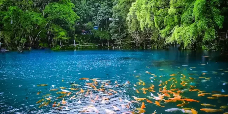 7 Wisata Kuningan yang Lagi Hits Januari 2026