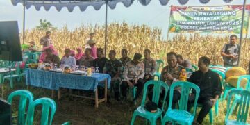 Polres Cirebon Kota Panen Jagung di Argasunya 