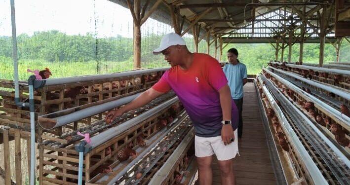 Lahan Program Ketahanan Pangan Desa Ciperna Terhalang Tol Palikanci