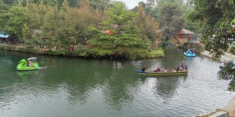 Ribuan Ikan Koi Ditebar di Danau Alami Situ Cipanten – Gunung Kuning