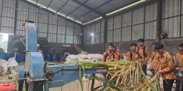 Asah Kompetensi Lapangan, Prodi Peternakan UM Kuningan Gelar Praktikum Terpadu