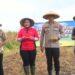 Dukung Ketahanan Pangan Nasional, Polres Cirebon Kota Siapkan 11 Hektar Lahan Jagung 