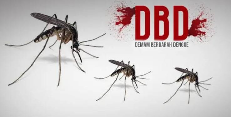 1.169 Kasus DBD di Kabupaten Cirebon Sepanjang 2025, Dua Orang Meninggal