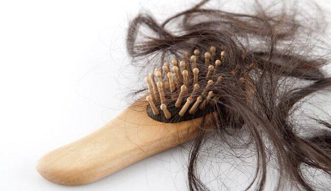 Cara Alami Mengatasi Rambut Rontok dengan Tanaman Herbal