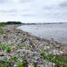 Pantai Kesenden Kota Cirebon Kembali Diselimuti Sampah