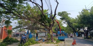 Tupoksi Kerap Tumpang Tindih, DPRD Kota Cirebon Panggil DPUTR dan DPRKP
