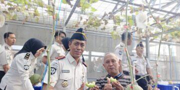 Panen Raya Melon, Program Pembinaan Lapas Kuningan Hasilkan 61 Kilogram