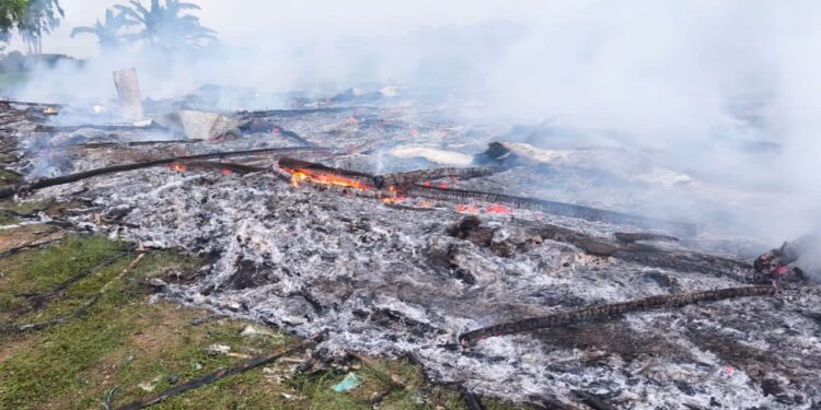 Subuh-subuh Si Jago Merah Mengamuk! Kandang Ayam di Cangkingan Ludes, Rugi Ratusan Juta