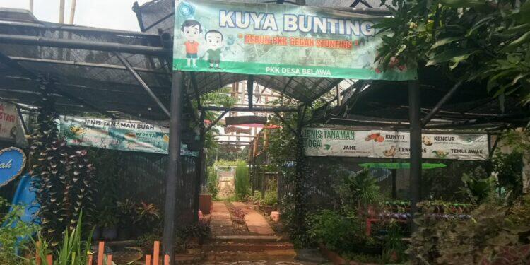 PKK Desa Belawa Sulap Taman jadi Pusat Edukasi dan Tanaman Obat