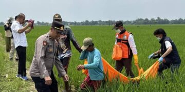 Penemuan Jasad Membusuk di Sawah Desa Sumber Kulon Ternyata Warga Jatiraga, Jatitujuh