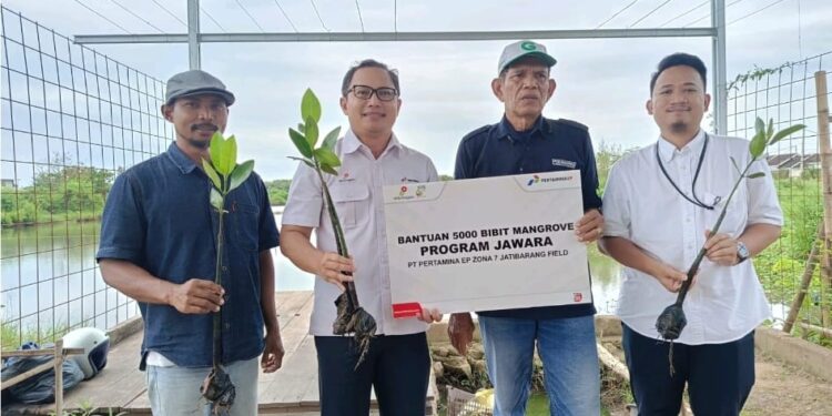 5.000 Bibit Mangrove Pertamina EP, Perkuat Konservasi Pesisir Kabupaten Cirebon